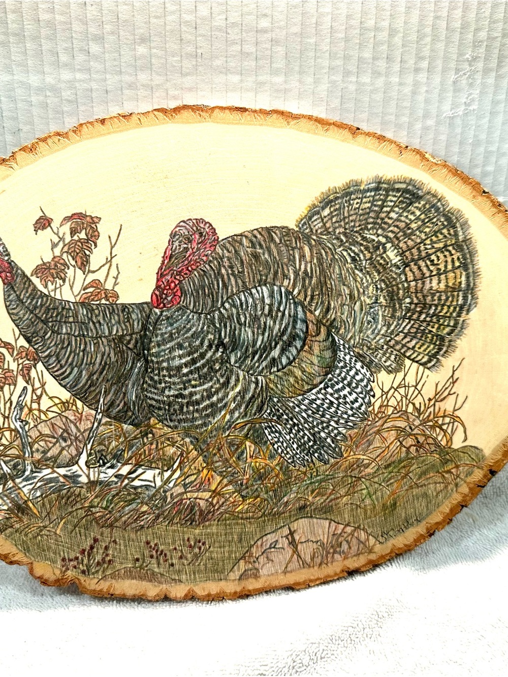 Hand-Engraved Turkey Wood Slice Wall Art – Brown and Cream 9x13 Artist signed